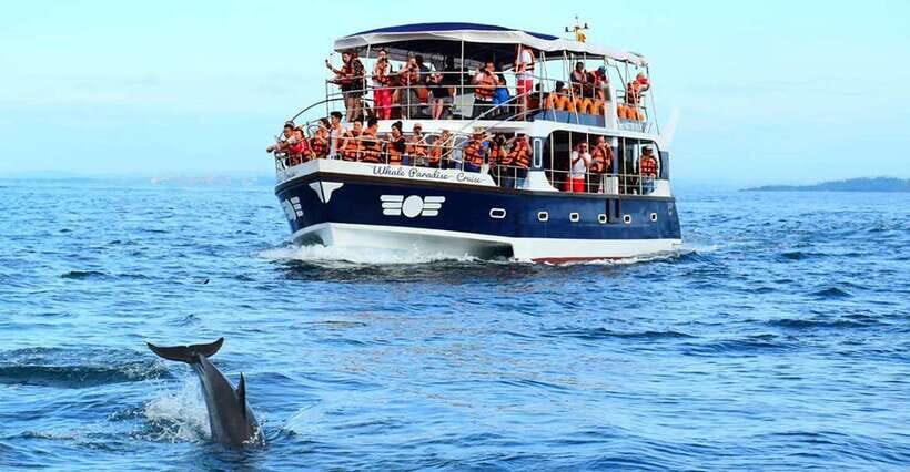 Mirissa Whale Watching, Tour A Once-in-a-Lifetime Experience - Why Mirissa is one of the easiest places to chase blue whales