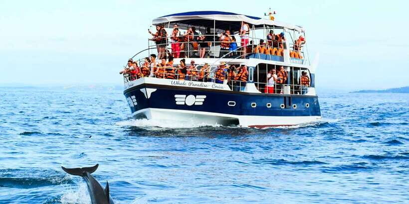 Mirissa: Whale Watching Tour - The 2-Hour Boat Ride: Comfort, Coffee, and Staying Ready