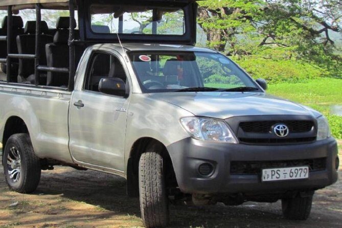 Morning 07 Hour Private Safari at Yala National Park by Yala La Safari Tours - Why a 4:30 am Yala safari works better than later starts