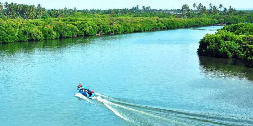 Muthurajawela Bird Watching Tour from Negombo and Colombo - Getting there from Negombo or Colombo (and why the tuk tuk matters)