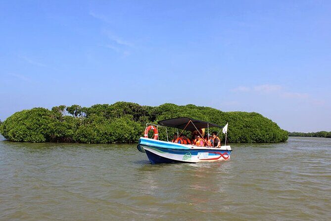 Muthurajawela Bird Watching Tour from Negombo / Colombo - Key highlights to know before you go