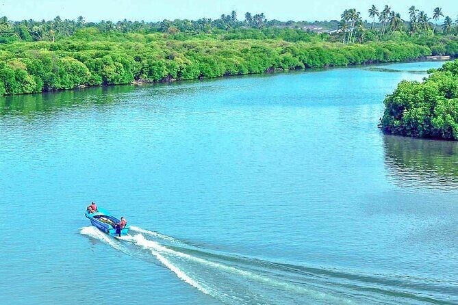 Muthurajawela Bird Watching Tour from Negombo / Colombo - Getting there by tuk-tuk: smooth pickup, early start, real convenience