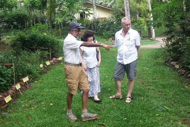 Nandana Tea Walking Tour in Sri Lanka - Inside the factory: what you’re really touring