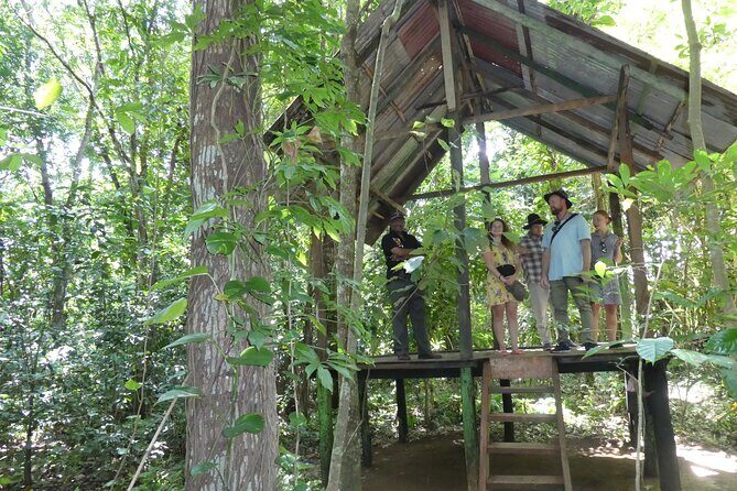 Nandana Tea Walking Tour in Sri Lanka - Practical details: timing, tickets, and how to plan your day