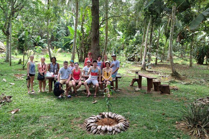 Nandana Tea Walking Tour in Sri Lanka - Herbal Garden Walk: the Ayurvedic plants part you’ll actually remember