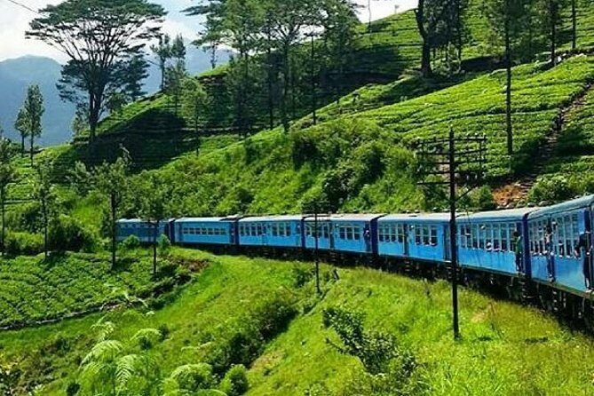 Nanu Oya to Ella train ride on (Train No: 1005 "Podi Menike") - Why the Nanu Oya to Ella Train Ride Feels Worth It