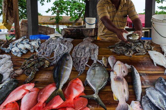 Negombo City Tour - Your Guide and the Private Vehicle Reality (Pickup, Timing, and Comfort)