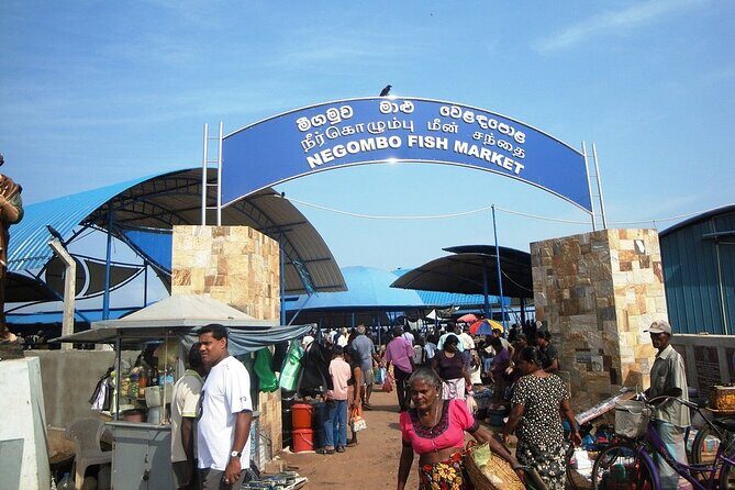 Negombo City Tour by TUK TUK with Rome - Price and private value: what $42.15 buys you