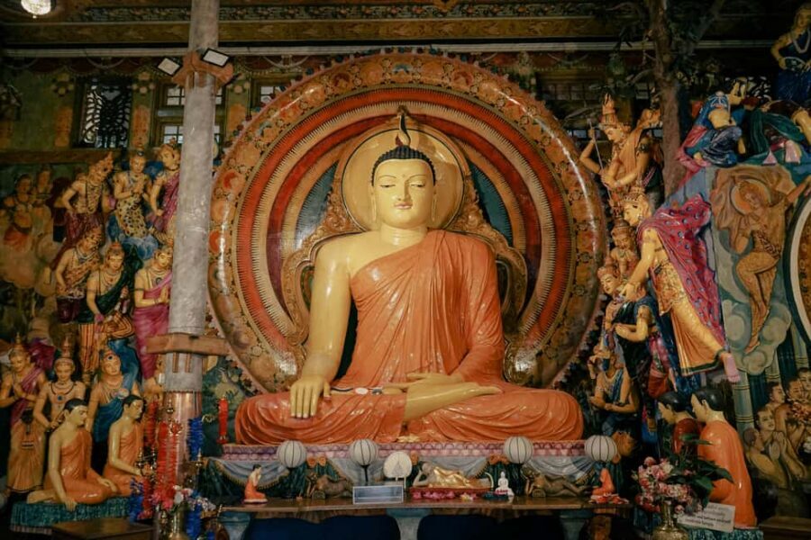 Negombo & Colombo: Full-Day Tour with Lunch - A Full-Day Negombo-to-Colombo Route That Stays Human-Scale
