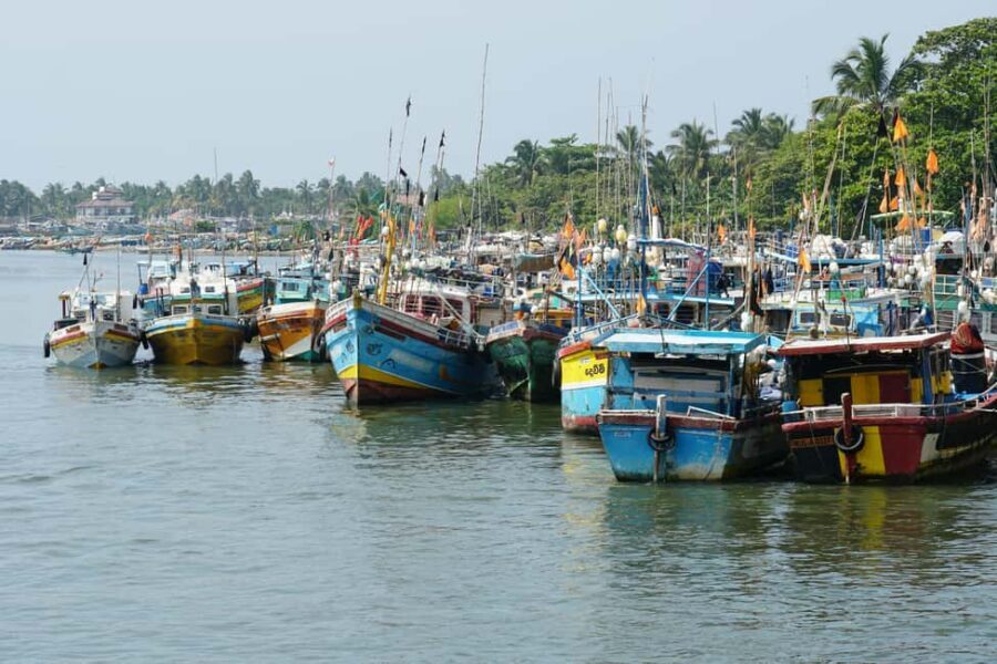 Negombo & Colombo: Full-Day Tour with Lunch - Lunch Break: A Real Reset Between Markets and Temples