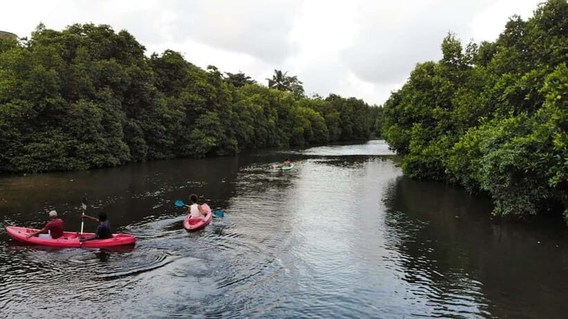 Negombo: Guided Kayaking Tour in the Lagoon - Kayaking on Negombo Lagoon: why this 2-hour format works