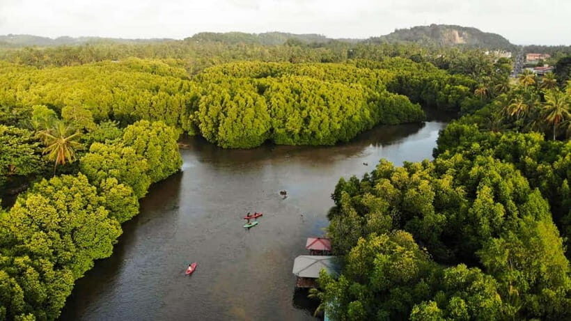 Negombo: Guided Kayaking Tour in the Lagoon - Fishing culture storytelling: seeing Negombo’s work life from a kayak