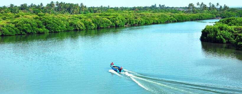 Negombo: Hamilton Canal to Colombo by Boat via Muthurajawela - Muthurajawela Wetland: why the visit matters beyond photos