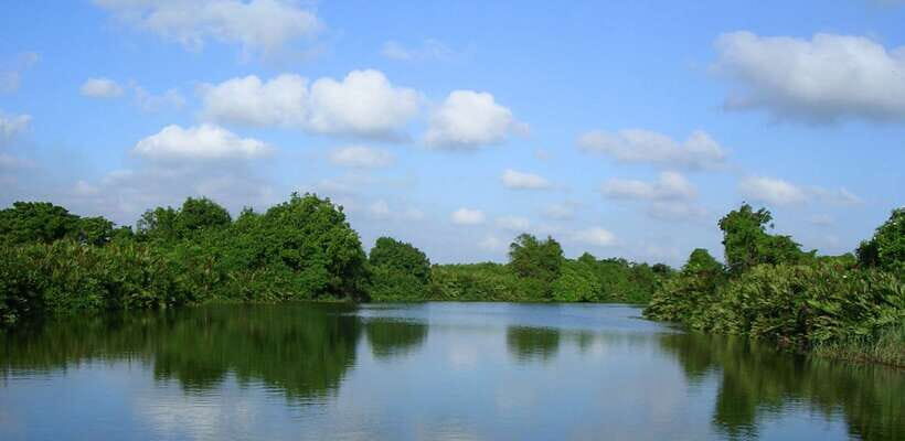 Negombo: Hamilton Canal to Colombo by Boat via Muthurajawela - What to bring: small items that make a big difference