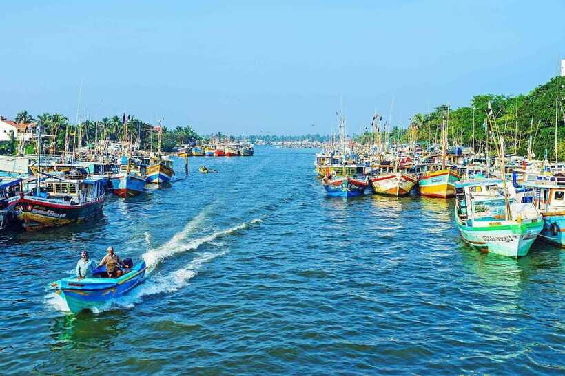 Negombo: Hamilton Canal to Colombo by Boat via Muthurajawela - FAQ