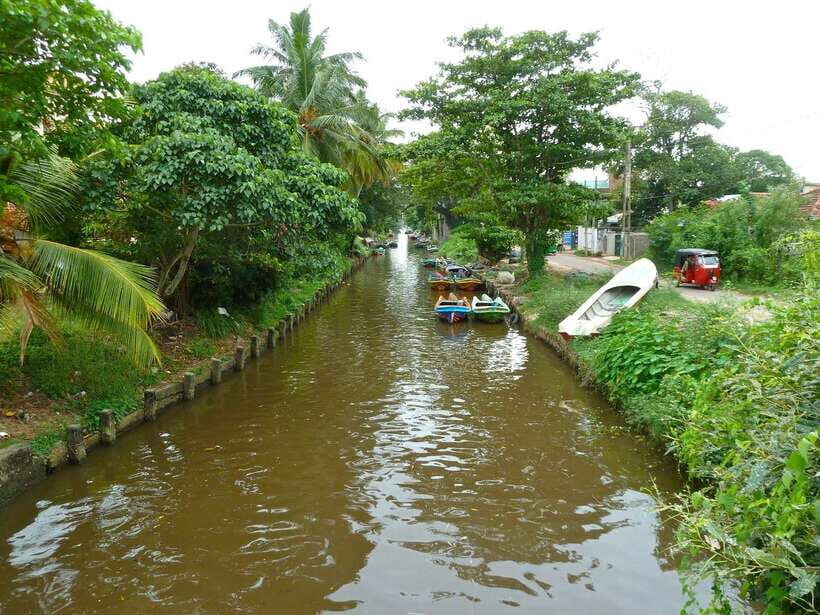 Negombo: Hamilton Canal to Colombo by Boat via Muthurajawela - Negombo Lagoon: where birds and daily life share the shoreline