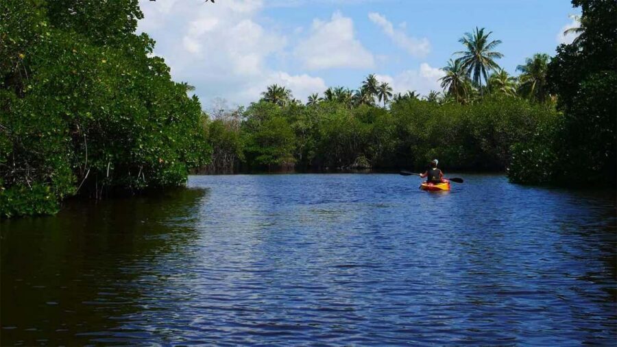 Negombo: Kayaking in the Lagoon - Key moments worth your attention