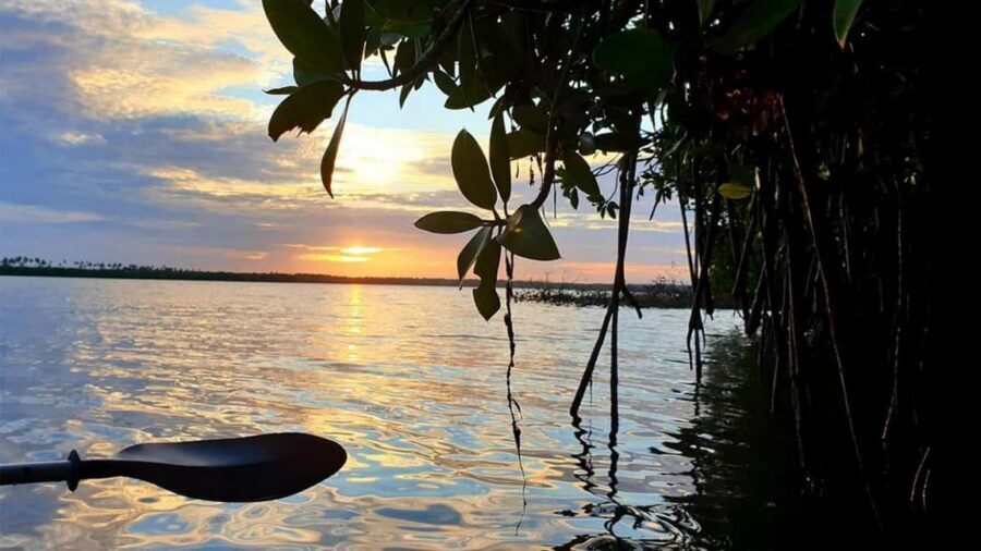 Negombo: Kayaking in the Lagoon - Where this kayak tour fits in your Negombo day