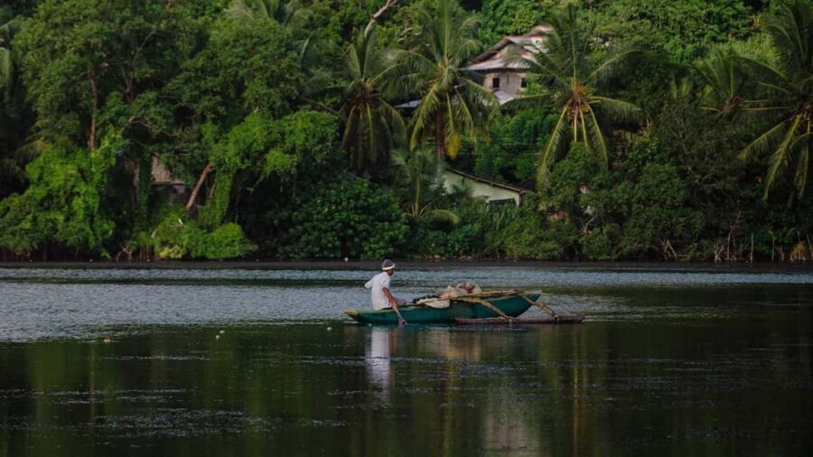 Negombo: Kayaking in the Lagoon - The lagoon itself: mangroves, calm water, and real wildlife time
