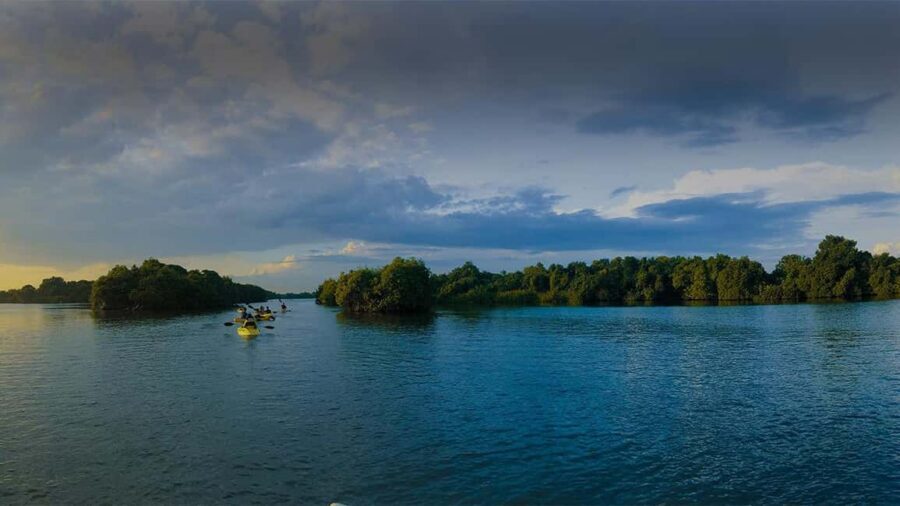 Negombo: Kayaking in the Lagoon - How the guide makes the 2 hours worth it