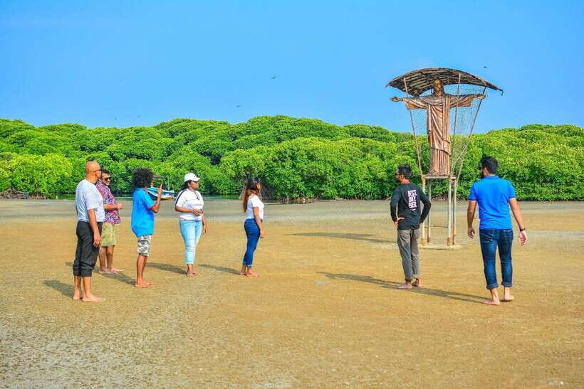Negombo Lagoon (Mangrove ) Boat Excursion - Why the Negombo Lagoon Mangroves Feel Different