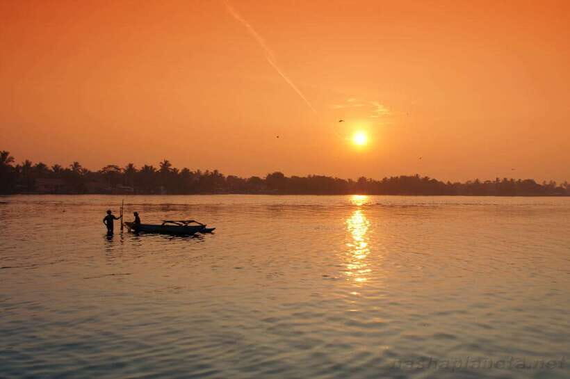 Negombo Lagoon (Mangrove ) Boat Excursion - On the Boat: Mangroves, Nets, Sailing Boats, and Birdwatching
