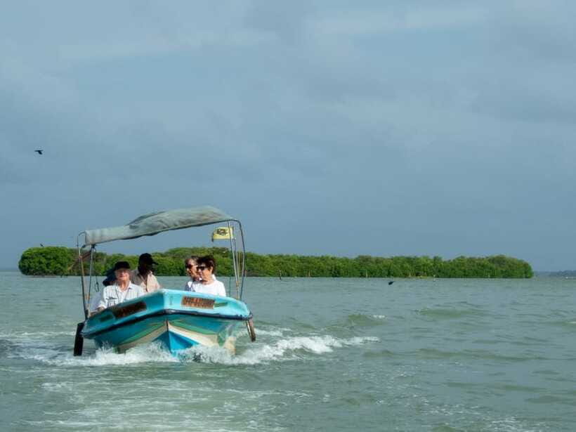 Negombo Lagoon (Mangrove ) Boat Excursion - Negombo Fish Market: A Quick Glimpse at the Seafood Engine