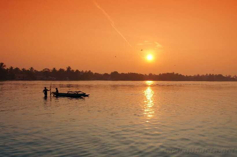 Negombo Lagoon (Mangrove ) Boat Excursion - Health Requirements You Must Follow Before Starting