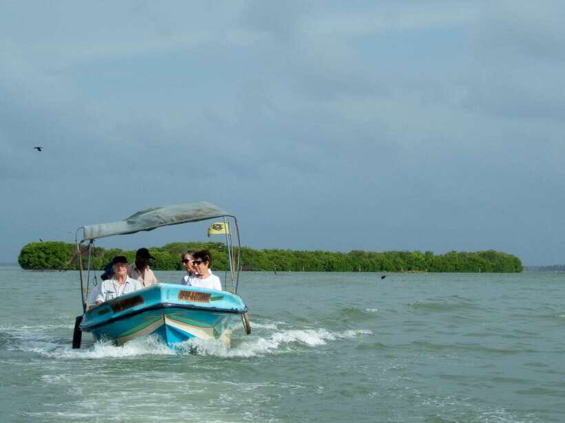 Negombo Lagoon (Mangrove ) Boat Excursion - Getting There From Negombo: Tuk-Tuk to Dutch Canal