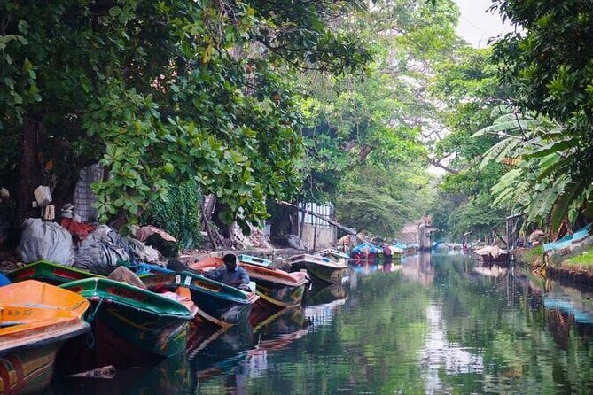 Negombo Lagoon & Muthurjawela Bird Watching Boat Tour - Private tour reality: what you gain (and what you won’t)