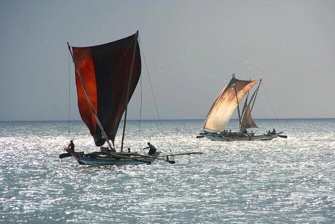 Negombo Lagoon & Muthurjawela Bird Watching Boat Tour - Timing and what “6 AM to 6 PM” means for you