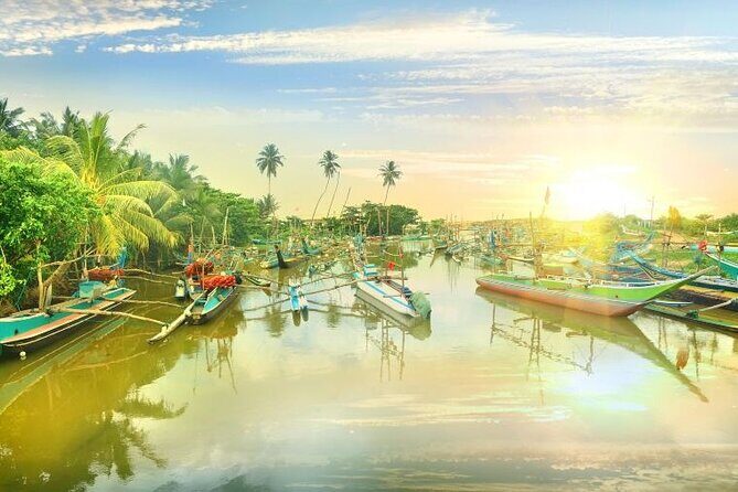 Negombo Lagoon & Muthurjawela Bird Watching Boat Tour - Getting there: the one logistics point you shouldn’t ignore