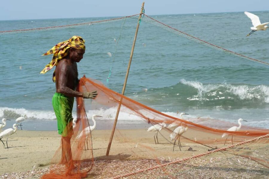 Negombo Private Tour: Market, Temples & Canal - The route starts with convenience: pickup and timing that reduce stress