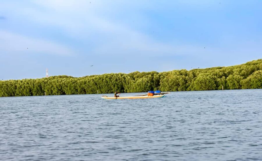 Negombo: Sunset lagoon boat tour with hotel transfers - Who should book this Negombo sunset lagoon tour, and who might not