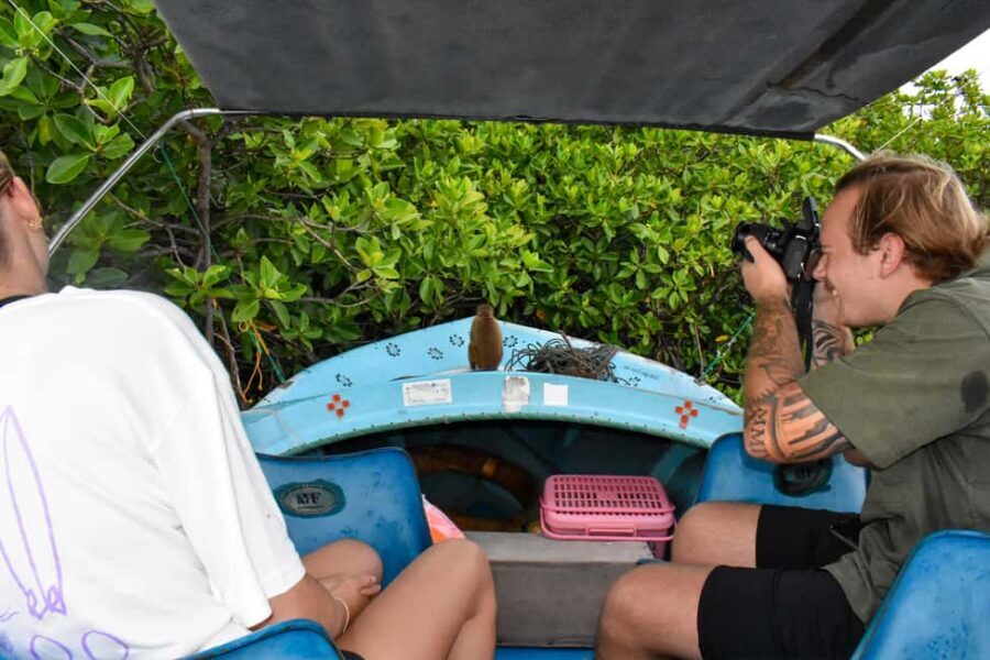 Negombo: Sunset lagoon boat tour with hotel transfers - Dutch Canal to mangroves: spotting what you actually came for