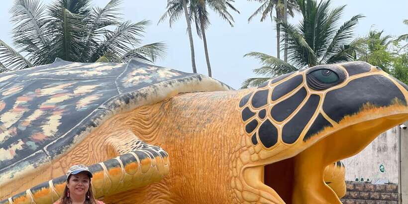 Negombo: Turtle hatchery, River safari, moon stone & Galle - Key highlights you should care about