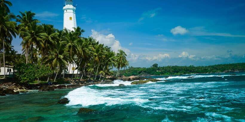 Negombo: Turtle hatchery, River safari, moon stone & Galle - Madu River safari by boat: your best nature reset (and the separate fee)