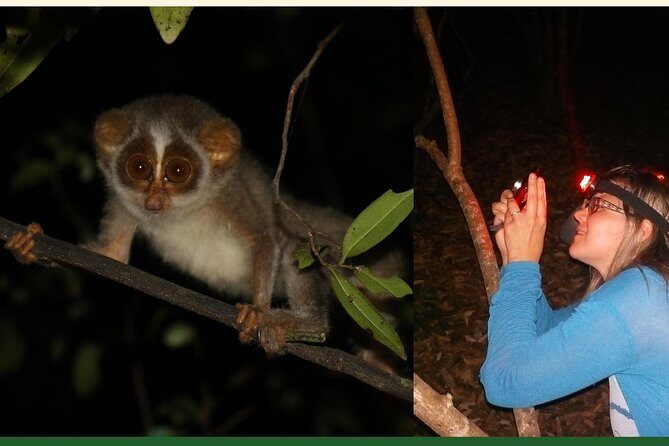 Night Hike to see Elusive & Rare Loris in Sigiriya - Gear and Clothing: The Practical Stuff That Keeps the Night Comfortable