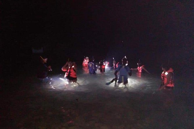 Night Snorkeling Experience in Mirissa - Key highlights at a glance