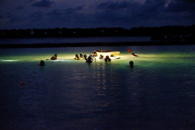 Night Snorkeling Experience in Mirissa - The 7:30 pm plan: what actually happens during the 2 hours