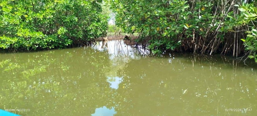 Nilaveli: Lagoon Boat Safari with Mangrove Exploration - From Pigeon Island Tours to Irrakkakandi Bridge: a 2-hour flow that stays simple