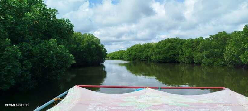 Nilaveli: Lagoon Boat Safari with Mangrove Exploration - Mangrove exploration: what to look for besides “pretty trees”