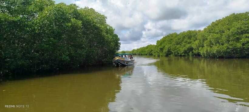 Nilaveli: Lagoon Boat Safari with Mangrove Exploration - On-board comfort: safety jackets, shade, and simple snacks that actually help