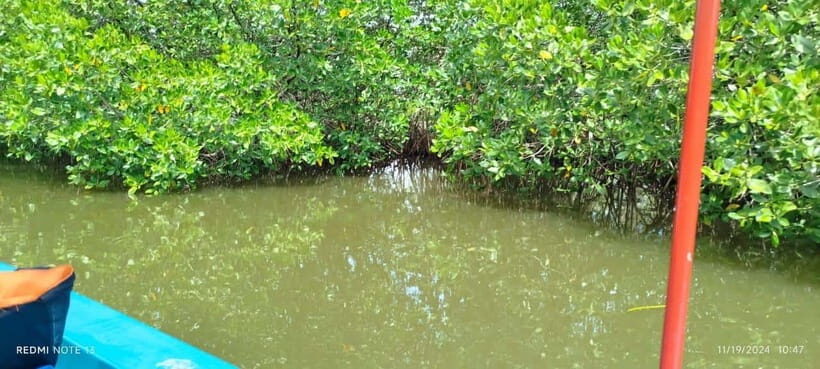 Nilaveli: Lagoon Boat Safari with Mangrove Exploration - Price and value: is $27 fair for 2 hours on the lagoon?
