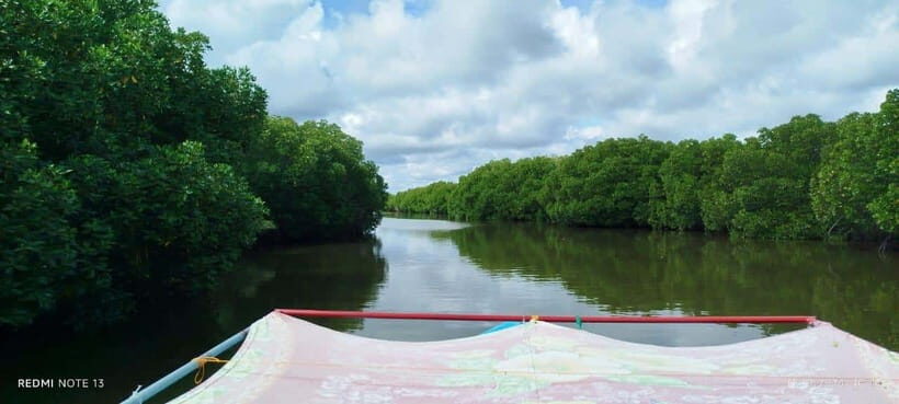 Nilaveli: Lagoon Boat Safari with Mangrove Exploration - Morning vs evening: how to choose the best light and calm