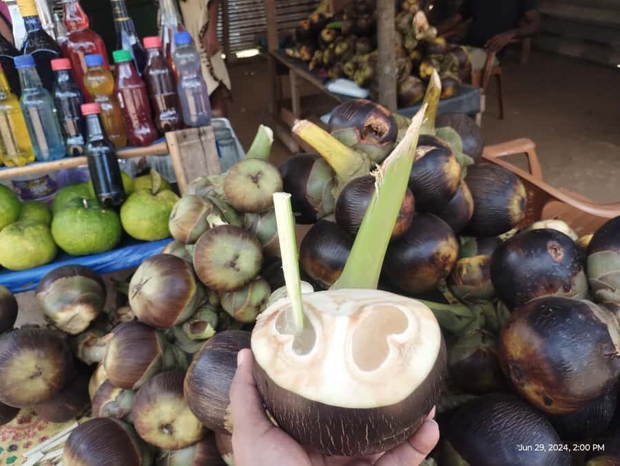 Nilaveli: Trinco City tour by Tuk Tuk - Small-boat fish market and local food moments