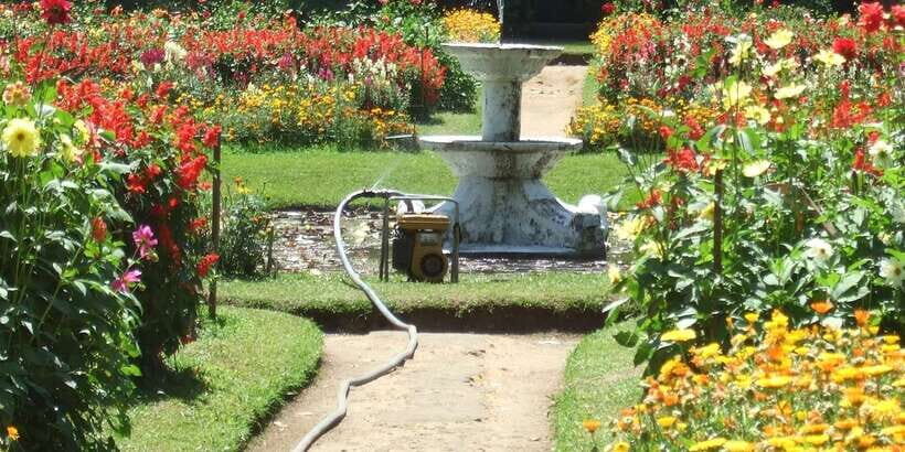 Nuwara Eliya: All-Inclusive Private Sightseeing Day Tour - A private chauffeur day that actually flows