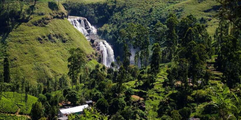 Nuwara Eliya: All-Inclusive Private Sightseeing Day Tour - Gregory Lake: an easy finish with stroll or boat time