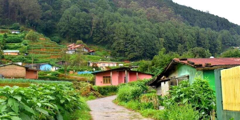 Nuwara Eliya: All-Inclusive Private Sightseeing Day Tour - Price and what makes it feel worth it at about $50