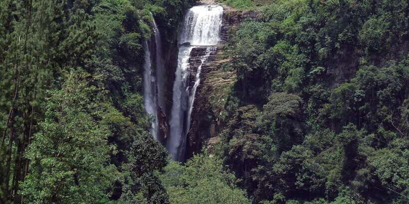 Nuwara Eliya: All-Inclusive Private Sightseeing Day Tour - Who this tour suits best, and who might not love it